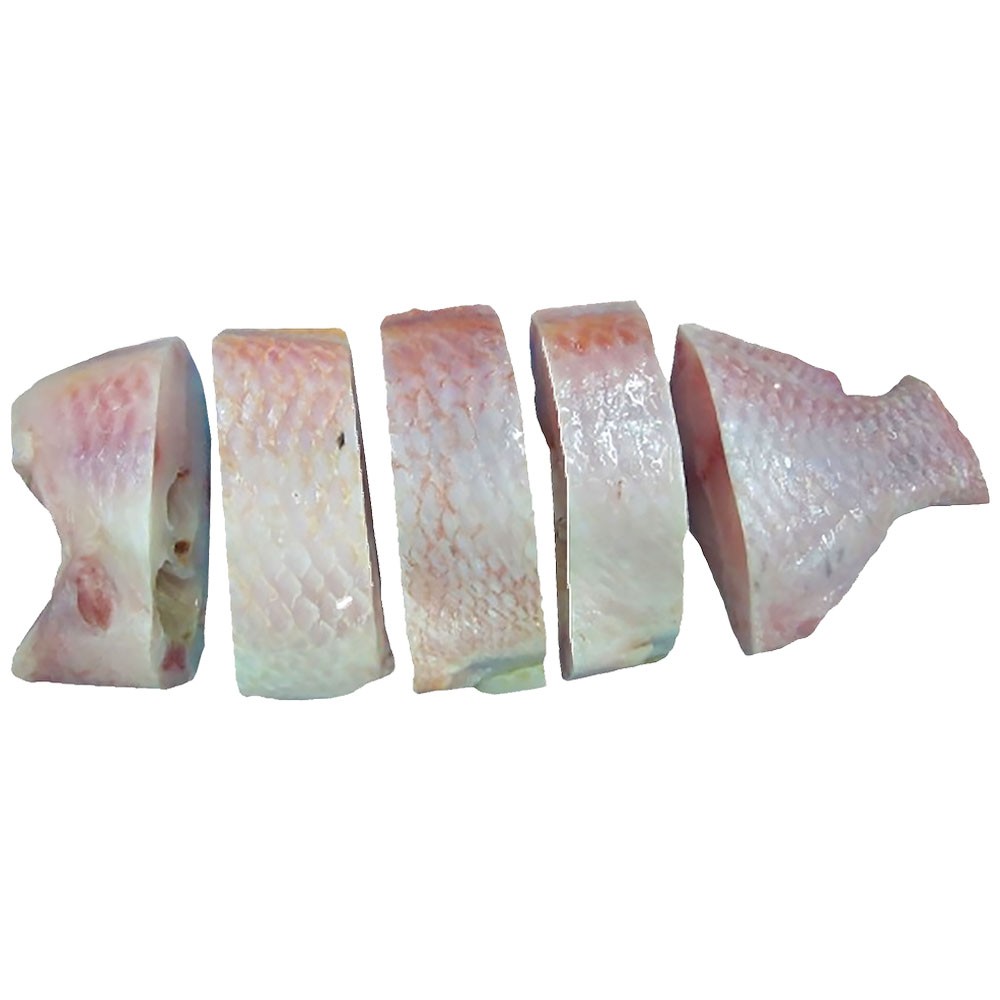 Tilapia Steaks Red