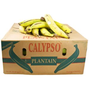 Plantain Yellow Calypso