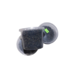 Periwinkle (Sea snail)